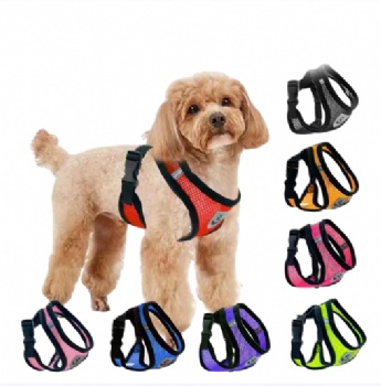PETS ROPE