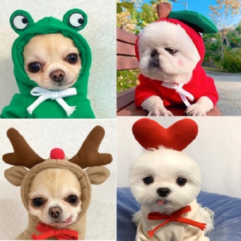 PET CLOTHES